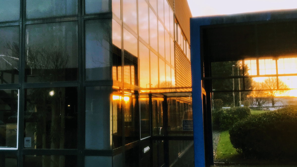 This Window Cleaner Has Been Doing My Windows for 8 Years. 'Very Handy Being Able to Pay Online.'