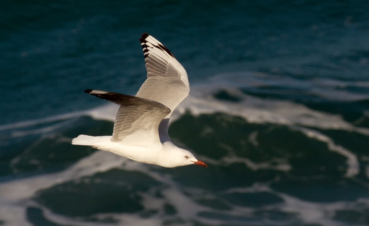 The Waterlooville Wedding Photographer Who Lets Your Day Tell Its Own Story