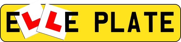 75% Pass Rate. The County Average Is 48%. Elle Driving School Has Been Defying the Odds for 25 Years.