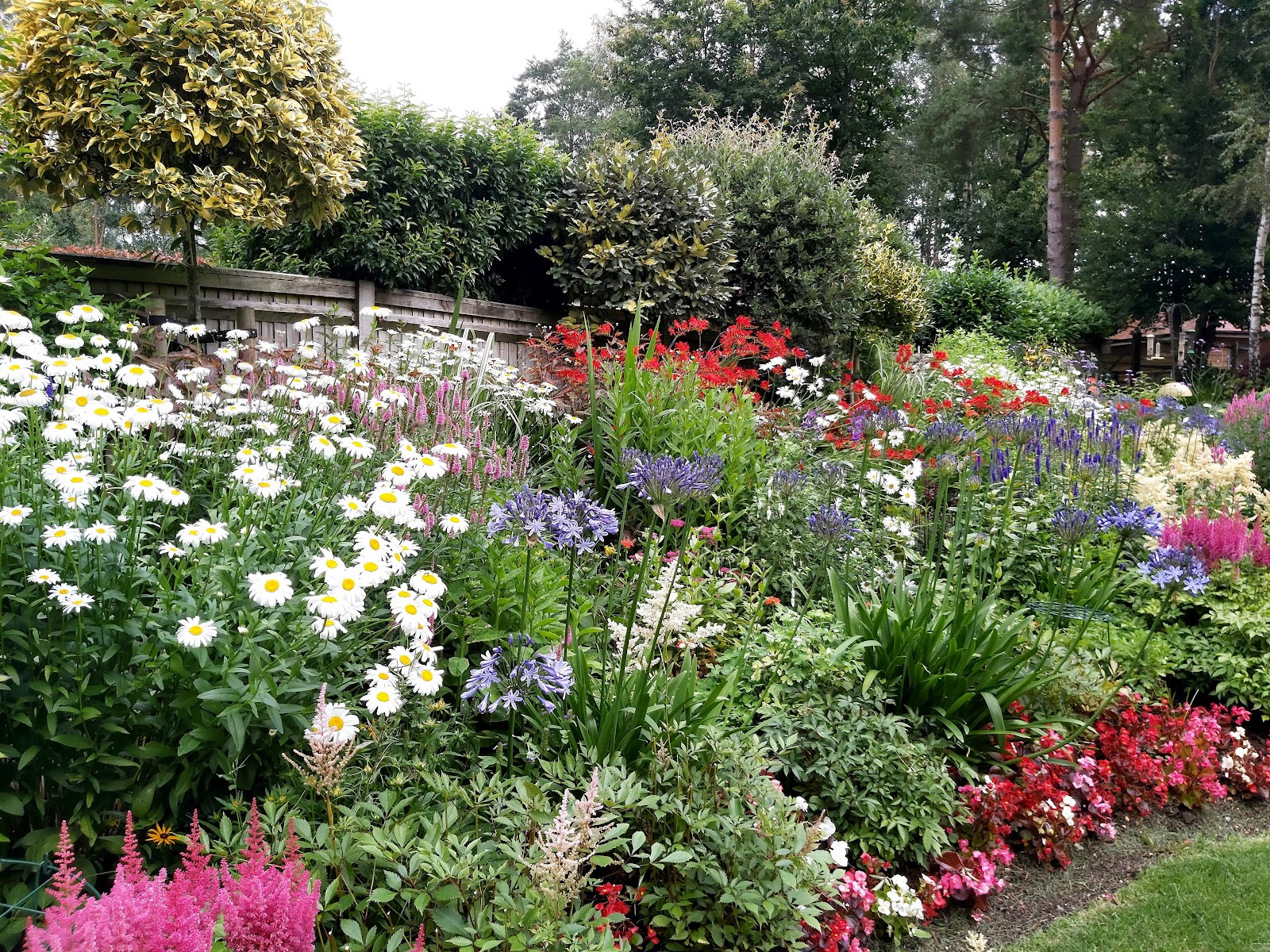 Nature Nurture Landscapes: Where Lovedean Gardens Come to Life