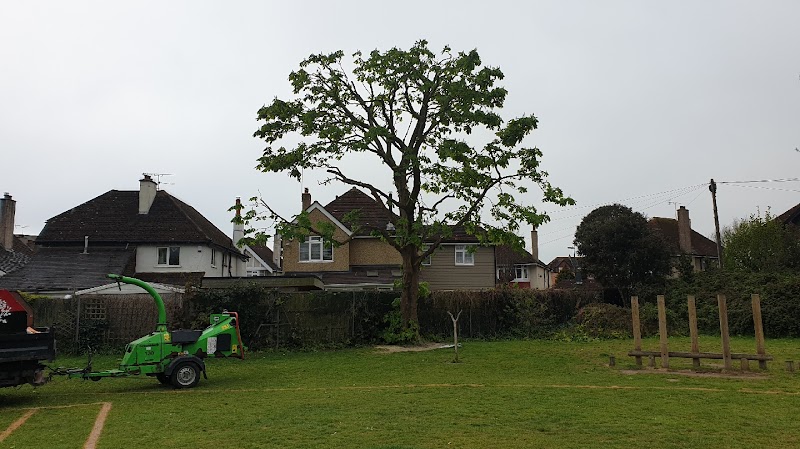 S&K Garden and Trees: Expert Tree Care from Havant