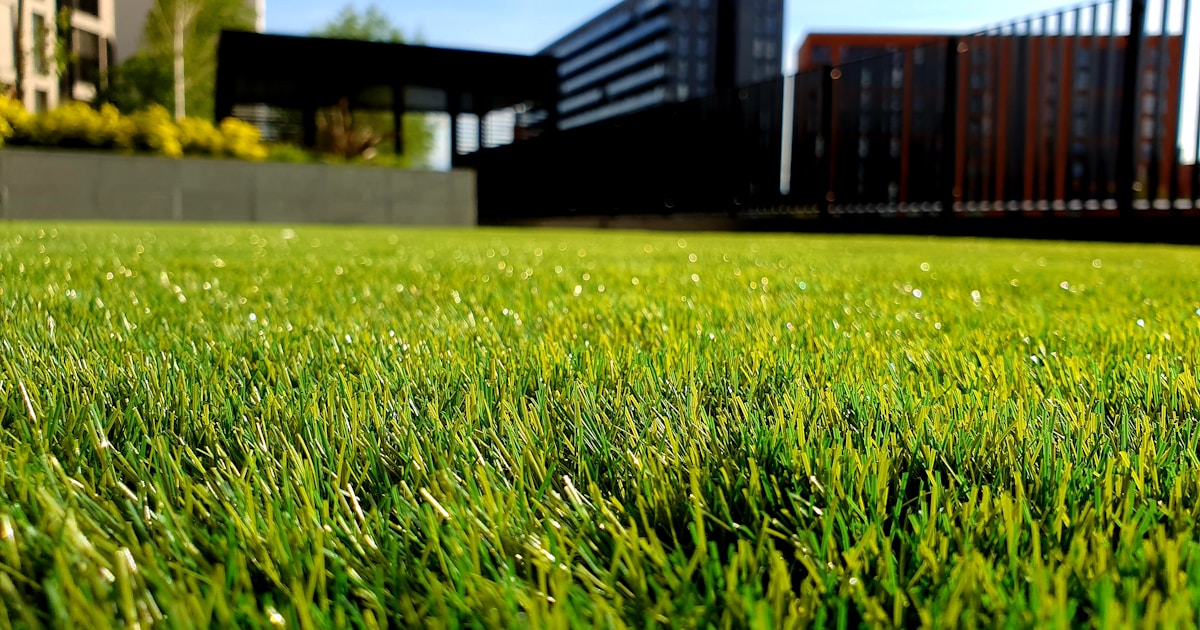 The Best Landscapers in Waterlooville: 2026 Guide