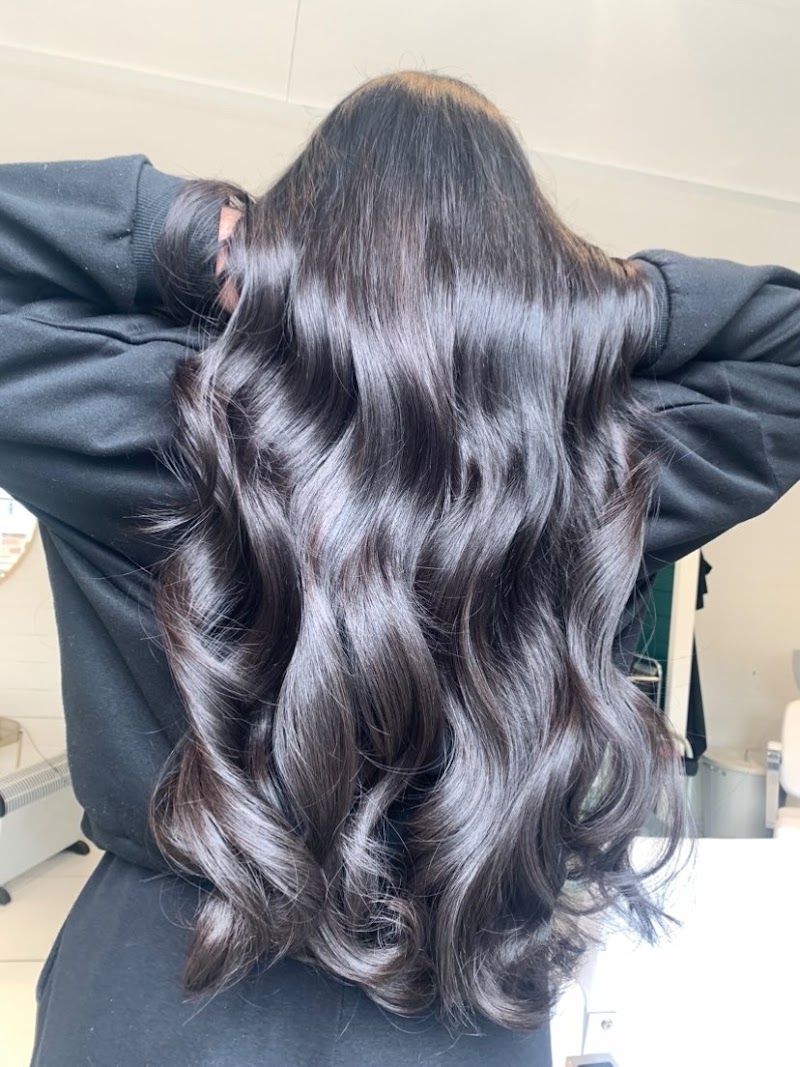 Hair Artistry by Holly